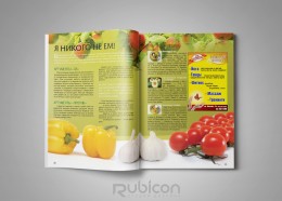 Верстка журнала "Просто Стильно"